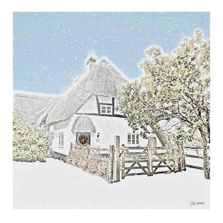 Delightful 3Bed Thatched Cottage Stockbridge  Exterior foto